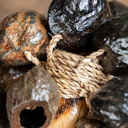 カラカラシェイカー　硬い木の実のやさしい音色 - サブ5