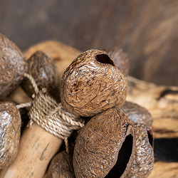 ガラガラシェイカー　パンギの木の実　振るだけ簡単！楽しい楽器 - サブ3