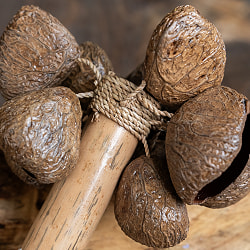 ガラガラシェイカー　パンギの木の実　振るだけ簡単！楽しい楽器 - サブ4