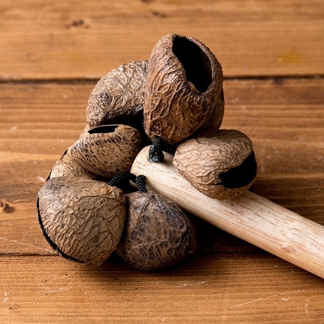 ガラガラシェイカー 2 - 木の実が良い音を出します