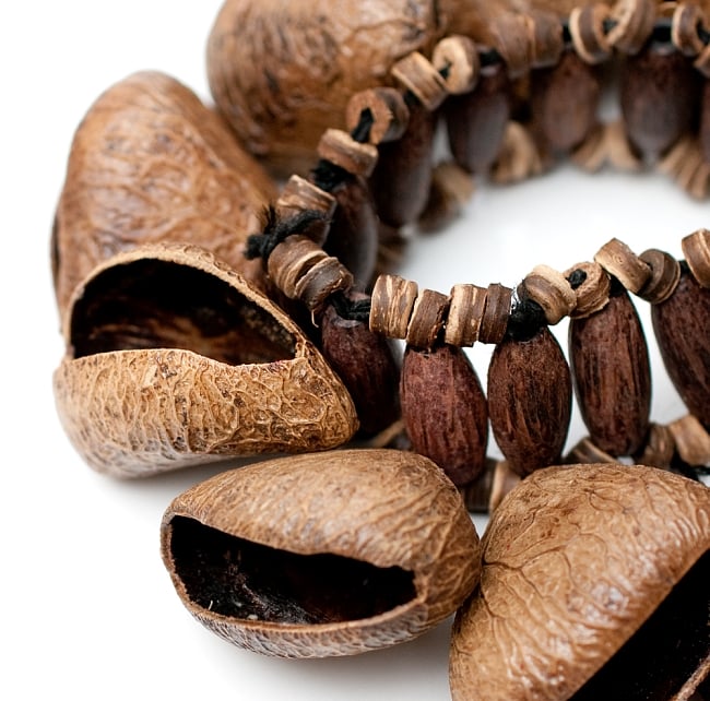 ガラガラ ブレスシェイカー 2 - 木の実の部分です。ガラガラといい音が出ます。
