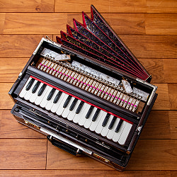 【Kartar Music House社製】ポップアップハルモニウム Calcuha 3ドローンタイプ - サブ5