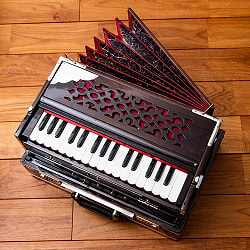 【ワケアリ Kartar Music House社製】ポップアップハルモニウム Calcuha 3ドローンタイプ - サブ4