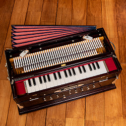 【DUTTA＆CO社製】9スケールチェンジャータイプ 37key ハルモニウム(高級品) - サブ2