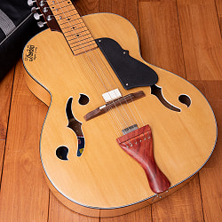 インドのスライド・ギター モハーンヴィーナ - サブ2