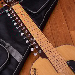 インドのスライド・ギター モハーンヴィーナ - サブ3