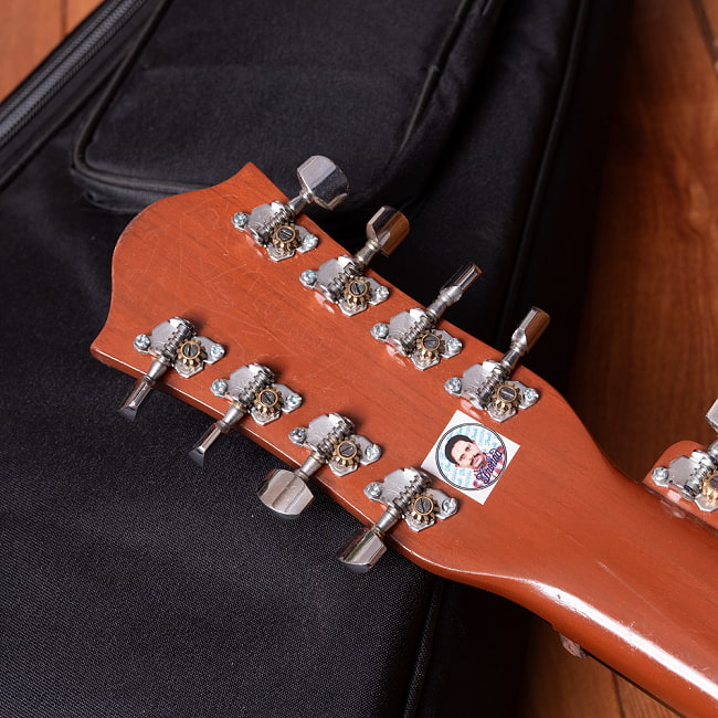 インドのスライド・ギター モハーンヴィーナ 9 - 拡大写真です