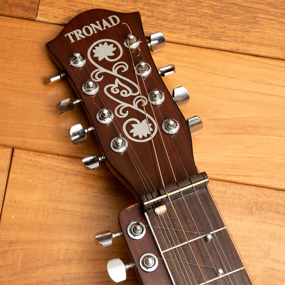 だいぶワケアリ]インドのスライド・ギター モハーンヴィーナ の通販