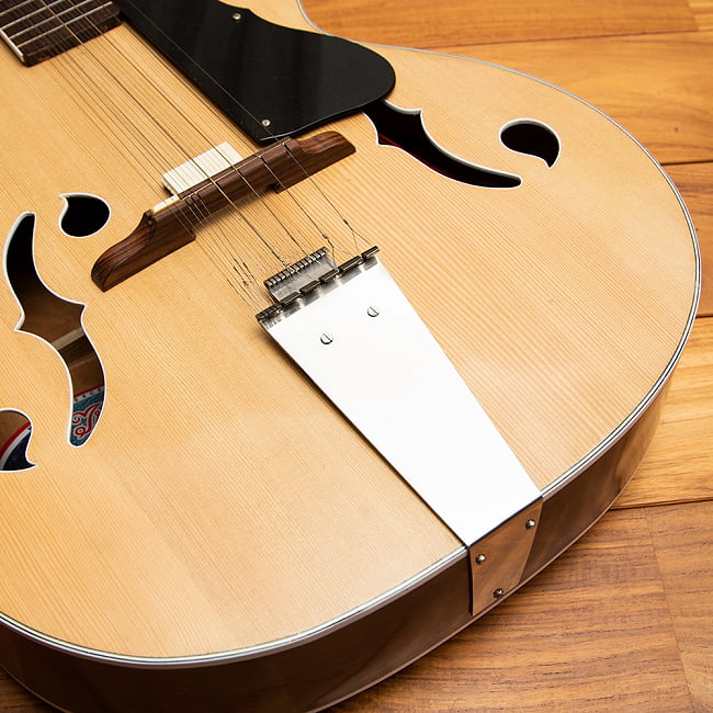 だいぶワケアリ]インドのスライド・ギター モハーンヴィーナ の通販