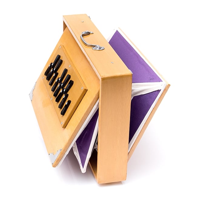 [インド品質]シュルティボックス Shrutibox Kartar Music House社製【ソフトケース付き】 2 - 横からの写真です。こちらはデザインA：紫です。
