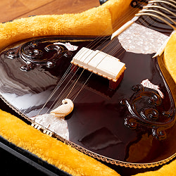 【Kanailal＆Sons製】ヴィラヤットカーンスタイル シタールセット（グラスファイバーケース） - サブ3