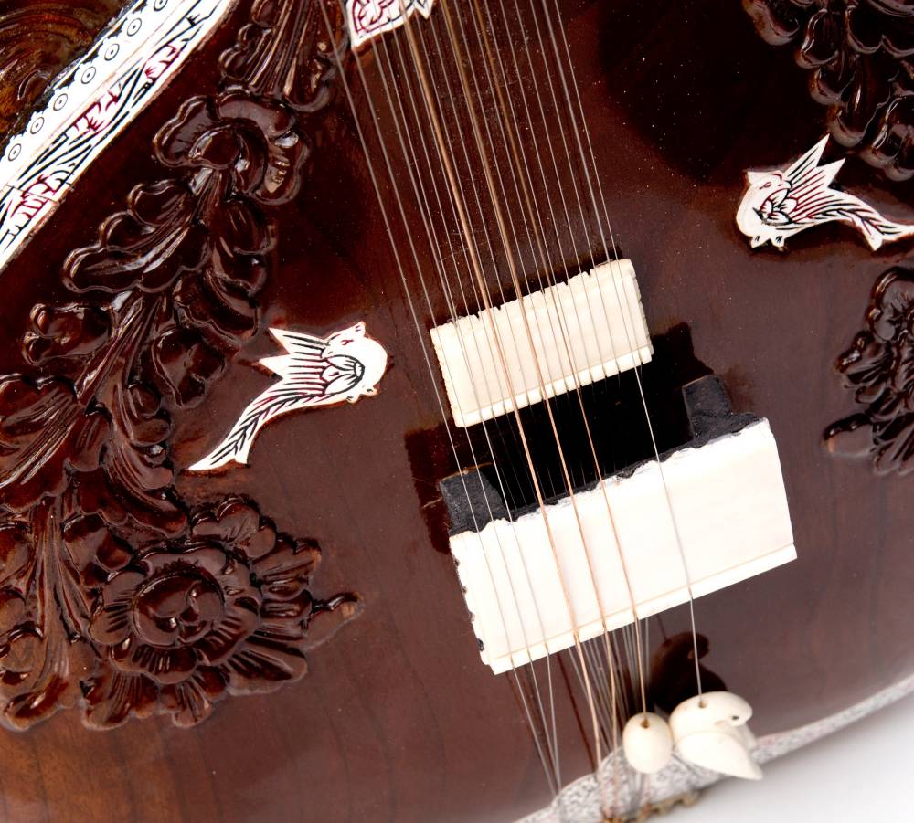 楽器 シタール Sitar インド (PALOMA社製)高級シタールセット（グラス