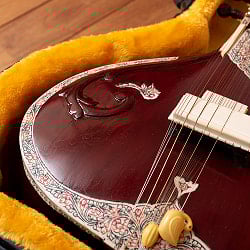  【PALOMA社製】シタールセット（グラスファイバーケース） - サブ3