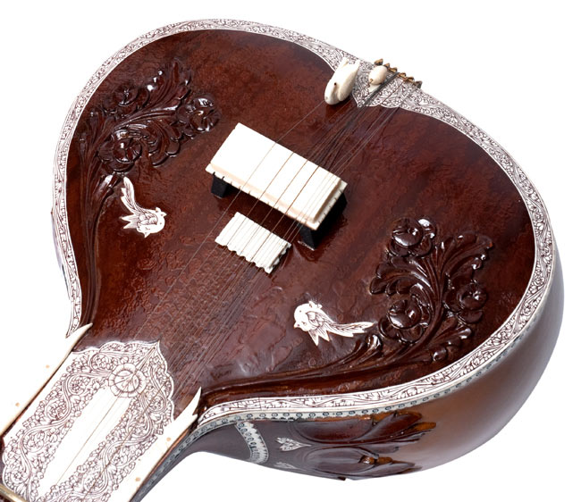 シタール【ワケあり品】 の通販[送料無料] - TIRAKITA.COM