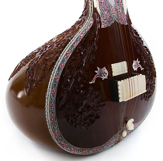 練習用シタールセット（グラスファイバーケース）【ケースにワケあり