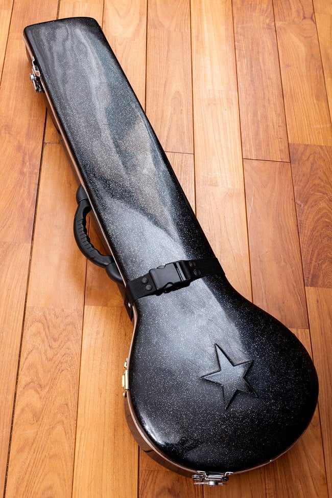 【ニス剥がれあり・ポッド難ありの訳あり品】【Kartar Music House社製】エレクトリックシタールセット(グラスファイバーケース) 11 - ハードケースが付属いたします