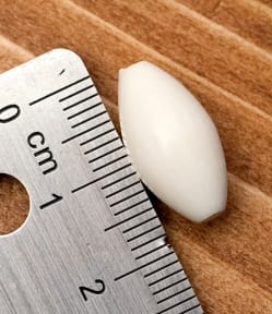 シタール調弦用玉マンカ - サブ2