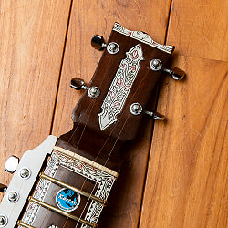 【Kartar Music House社製】エスラジ(esraj) - サブ2