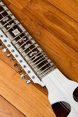 【Kartar Music House社製】エスラジ(esraj) - サブ4