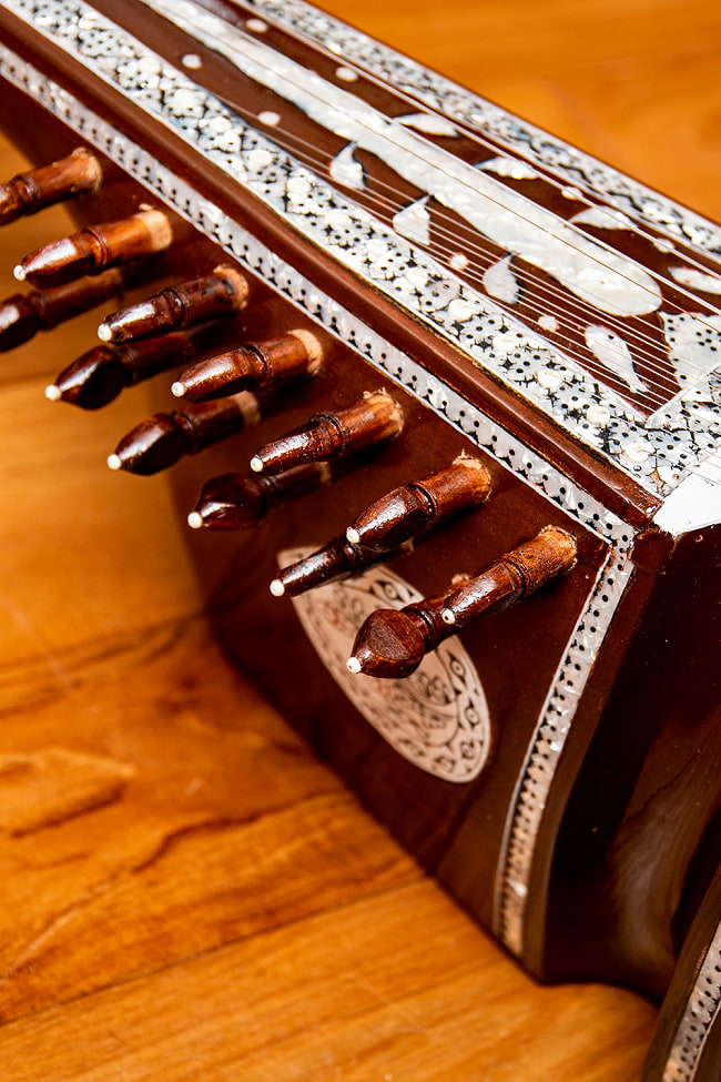 アフガニスタンの民族楽器 - ルバーブ - Rubab 4 - 共鳴弦用のペグになります。