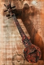 【1点物】トゥンナ tungna ネパール伝統の弦楽器 クラシック