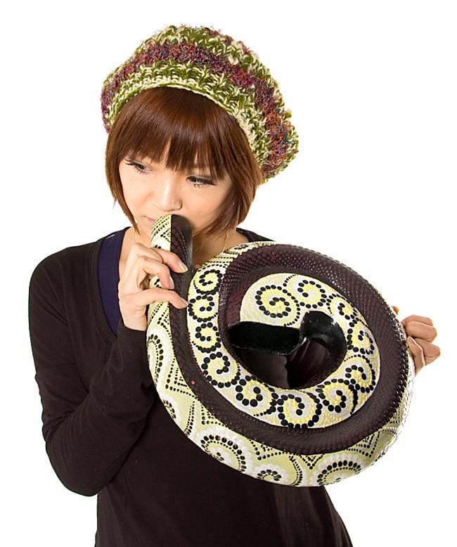 スパイラル・ディジュリドゥ【木目 赤系】の商品写真 7枚目 モデルさんに持ってもらいました。サイズイメージの参考にどうぞ。※こちらは柄違いの商品です。