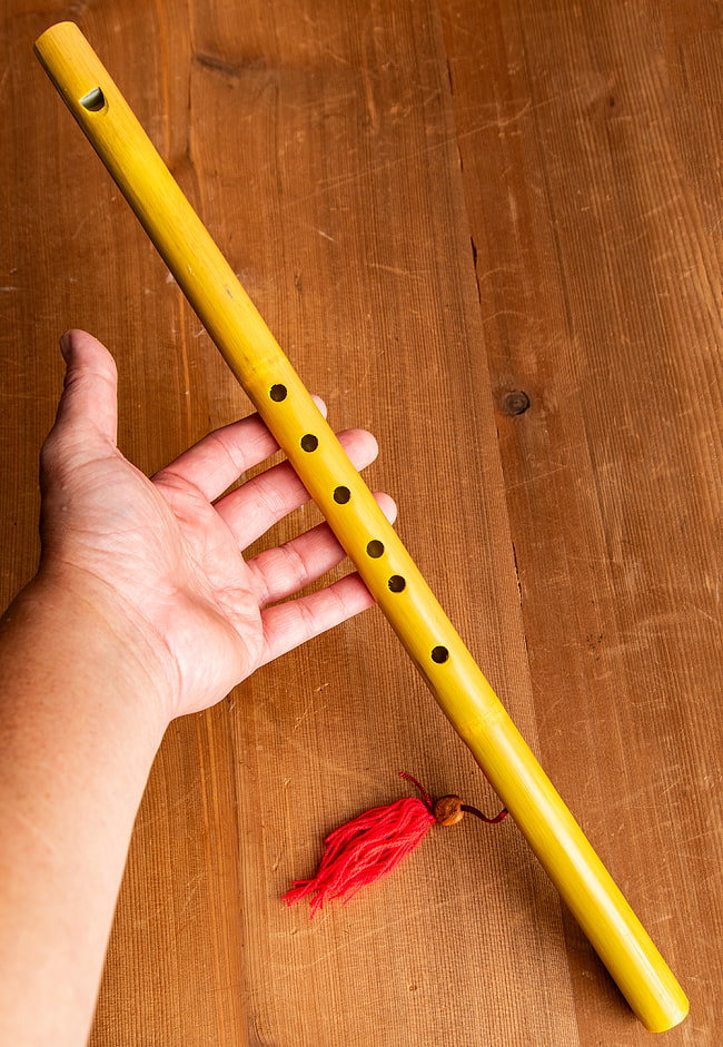 ベトナムの竹笛 - 縦笛 45cm 6 - 手で持ってみるとこれくらいの大きさです。