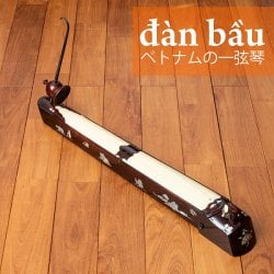 ベトナムの一弦琴 ダン・バウ
