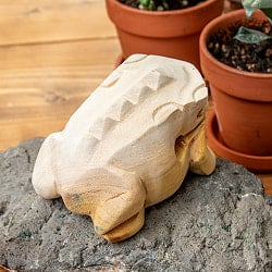 カエル型のギロ -  ナチュラル 中 - サブ4