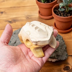 カエル型のギロ -  ナチュラル 中 - サブ5