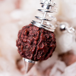 ルドラクシャ　菩提樹の実のペンデュラム　占いやダウジング　ヒーリングに使われる振り子 - サブ3