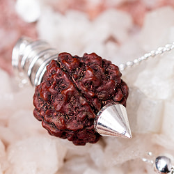 ルドラクシャ　菩提樹の実のペンデュラム　占いやダウジング　ヒーリングに使われる振り子 - サブ5