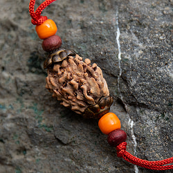 【3面】 インドの数珠 - ルドラクシャのカヴァチ（ブレスレット） - サブ3