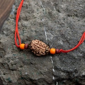 【3面】 インドの数珠 - ルドラクシャのカヴァチ（ブレスレット）(ID-ACS-431)