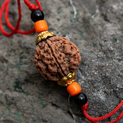 【5面】 インドの数珠 - ルドラクシャのカヴァチ（ブレスレット） - サブ3