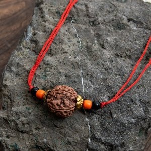 【5面】 インドの数珠 - ルドラクシャのカヴァチ（ブレスレット）(ID-ACS-433)