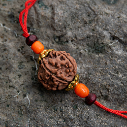 【6面】 インドの数珠 - ルドラクシャのカヴァチ（ブレスレット） - サブ2