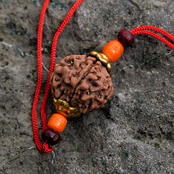 【6面】 インドの数珠 - ルドラクシャのカヴァチ（ブレスレット） - サブ3