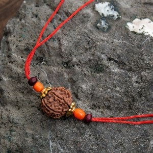 【6面】 インドの数珠 - ルドラクシャのカヴァチ（ブレスレット）(ID-ACS-434)