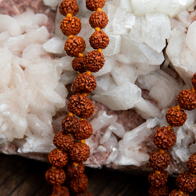 ルドラクシャの数珠 80cm 聖なる菩提樹の実 3 - 天然の素材を用いているのでどれ一つとして同じものはありません。