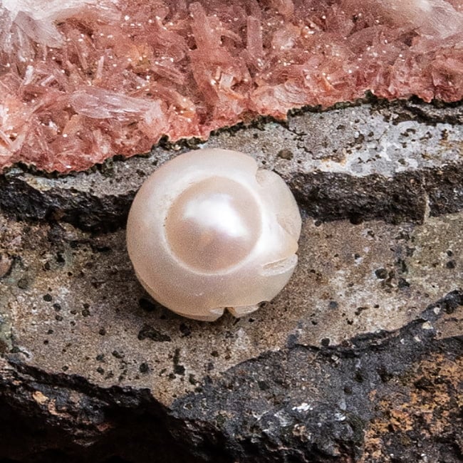 天然真珠の彫りガネーシャ 5 - 裏面です。個体差があるのでこちらは一例となります。