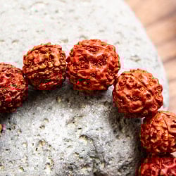 ルドラクシャのブレスレット 聖なる菩提樹の実 - サブ2