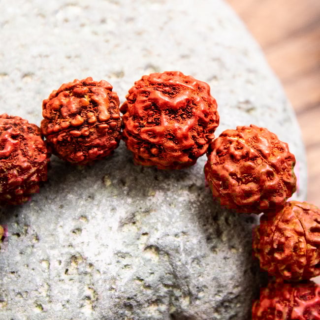 ルドラクシャのブレスレット 聖なる菩提樹の実 2 - 天然の素材を用いているのでどれ一つとして同じものはありません。