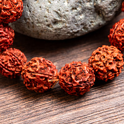 ルドラクシャのブレスレット 聖なる菩提樹の実 - サブ3