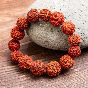 ルドラクシャのブレスレット 聖なる菩提樹の実(ID-ACS-497)