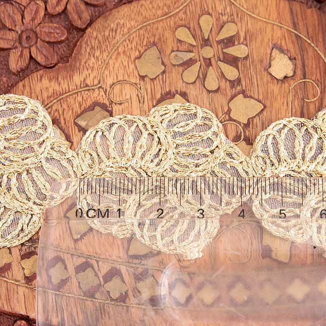 チロリアンテープ　メーター売 - 金糸が美しい　更紗模様のゴータ刺繍〔幅:約4cm〕 - プルメリア 6 - 手にとってみました