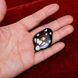 水牛の角ボタン[5個セット] - 約4cm ×約3cmきのこ - サブ4