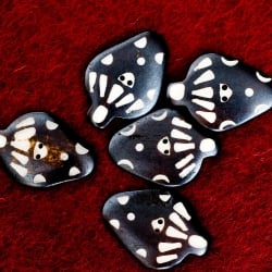 水牛の角ボタン[5個セット] - 約4cm ×約3cmきのこ - サブ5