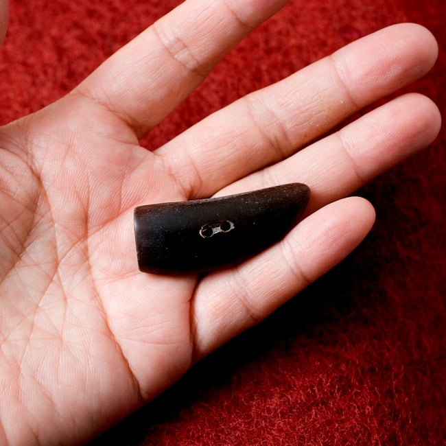 水牛の角ボタン[5個セット] - 約4.5cm×約1.5cm - 角 4 - 手に持つとこのくらいのサイズ感です。