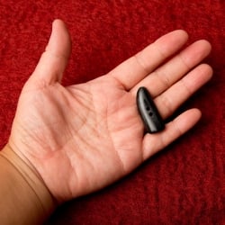 水牛の角ボタン[5個セット] - 約3.5cm×約1.2cm小角 - サブ4
